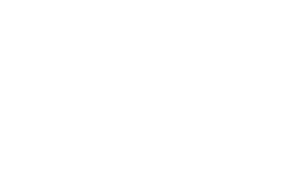 Guerrilla 450