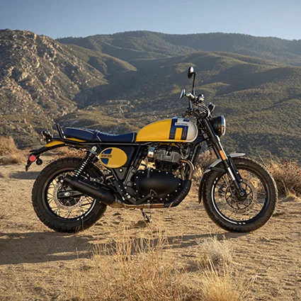 Bear 650