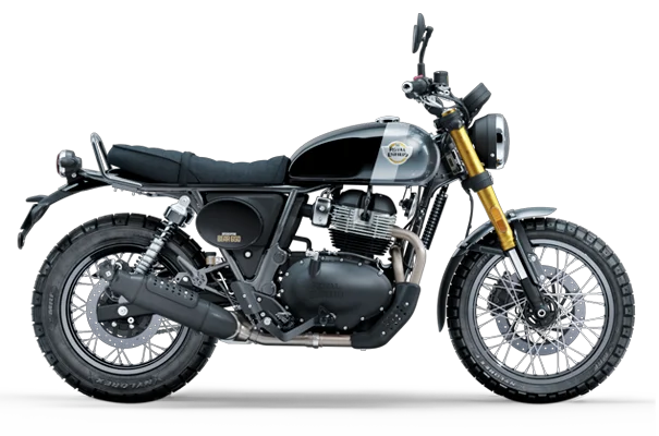 Bear 650 Golden Shadow
